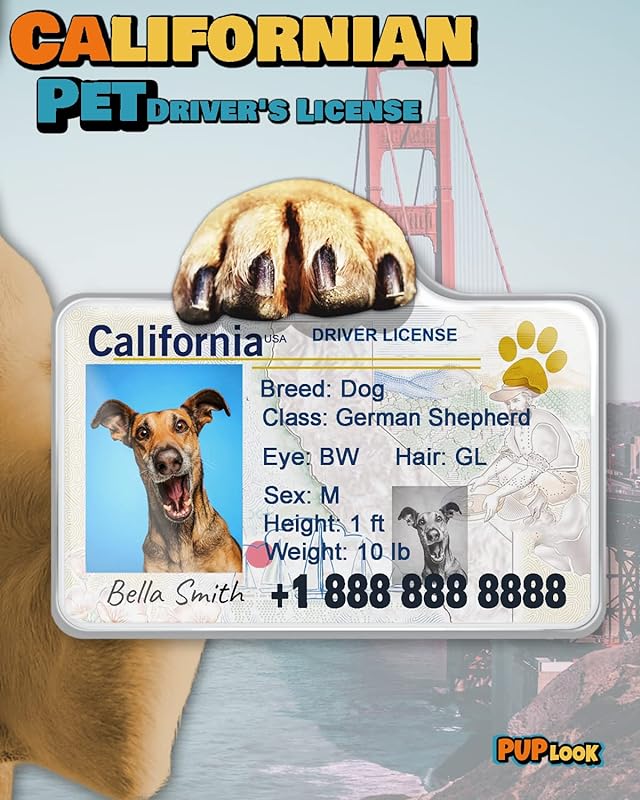 Personalized Pet Driver License ID Tags - Customized for your Pet! Add a touch of humor with funny cat and dog license ID tags.