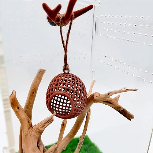 SPANSEE Springspinne-Gehege mit magnetischem Geweih, 3D-gedrucktes Spinnenverstecknest aus Kunstharz mit simuliertem Geweih, Lebensraum für springende Spinnen, niedliche Dekoration für Terrarium, Spielzeug für kleine Haustiere, braun 